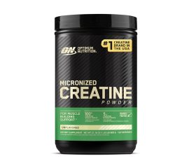 Optimum Nutrition Micronized Creatine